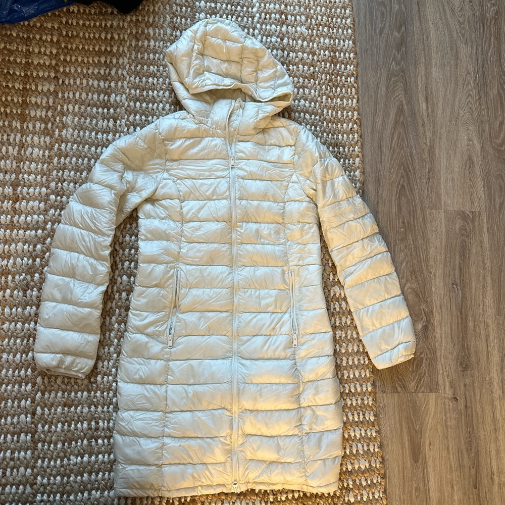 Aritzia Babaton The Foundation Puffer long.